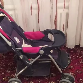 kalyaska çaga göterilýän