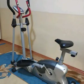 trnažorny lyža tigir