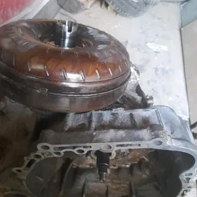 Duty karopka 13 fisk