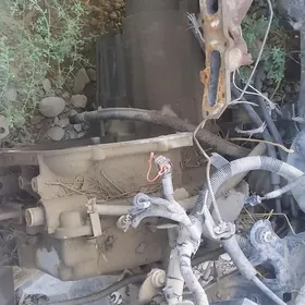 swratet malibu karopka