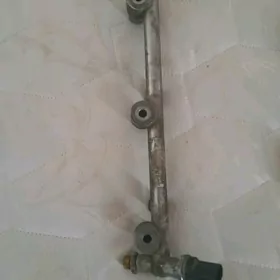 Reyke parsunka 3.6 2017