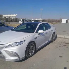 Toyota Camry 2023