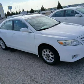 Toyota Camry 2010