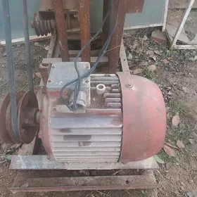 Elektro dwigatel agaç kesýän