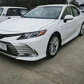 Toyota Camry 2020
