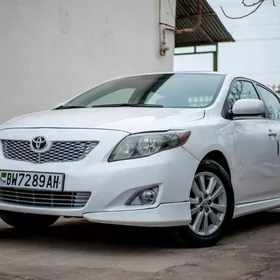 Toyota Corolla 2010