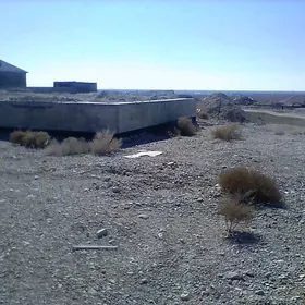 Duzmergen Nebitci 44