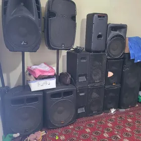 kalonkalar 15.12.10.