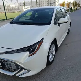 Toyota Corolla 2019