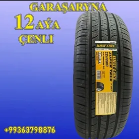 🚨 GARAŞARYNA TEKER 225/65R17