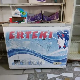 satlyk holadilnikler