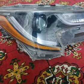 Toyota Corolla Morda Farasy