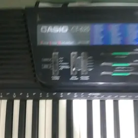 CASIO
