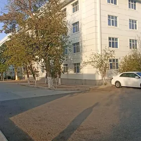 ARENDA JAY GEREK EYESINDEN