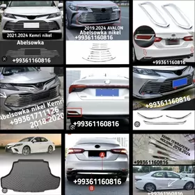 KEMRI LEKSUS NIKELERI.