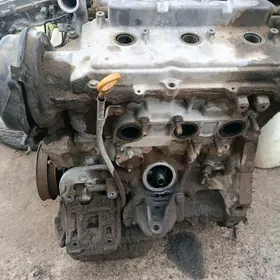 3 lik Avalon mator yaga degya