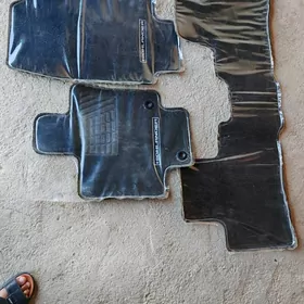 Kawyor haylandyr 2022