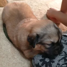 ️ МАЛЬЧИК ️