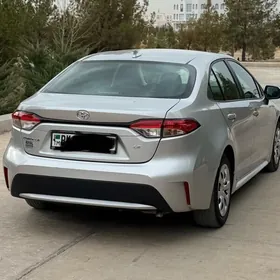 Toyota Corolla 2021