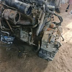 mersedes matory   yzbor