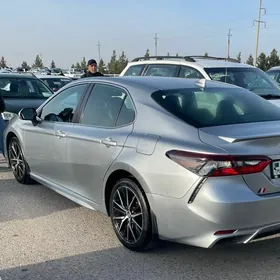 Toyota Camry 2020