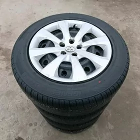 20.21karolla disge pakrişga