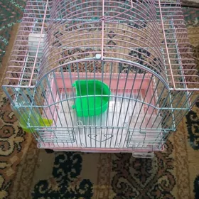 клетка для попугаев
