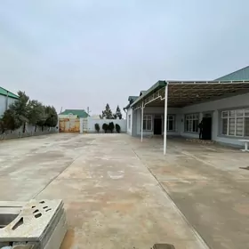 Çoganly 12sotok howly