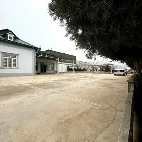 Çoganly arzan jaý 12 sotuk