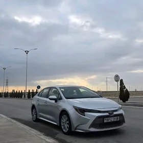 Toyota Corolla 2020