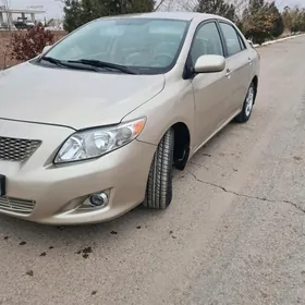 Toyota Corolla 2010