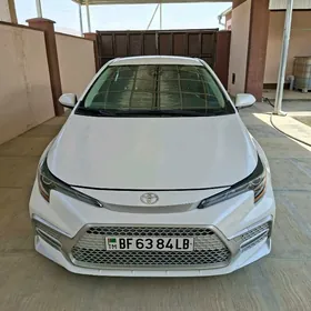 Toyota Corolla 2021