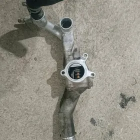 termostat 3.5 Toyota