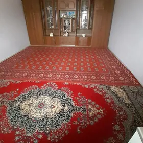 Emlak satlyk jaÿlar