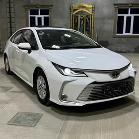 Toyota Corolla 2023