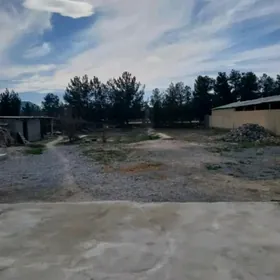 Yasmansalyk Buzmeyin