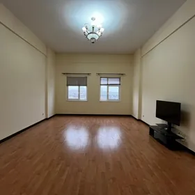 ЭЛИТКА ПОДВОЙСКАЯ АЙТАКОВА