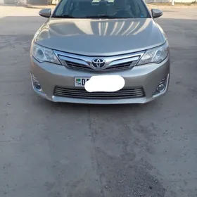 Toyota Camry 2013