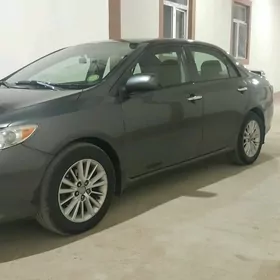 Toyota Corolla 2010