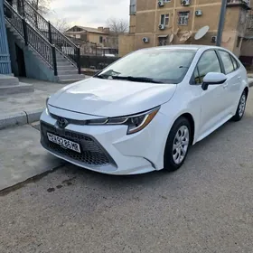 Toyota Corolla 2020