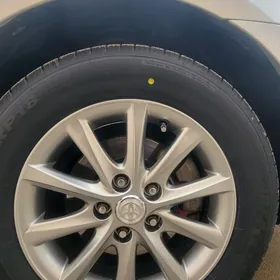 XEL diska Radnoÿy 1stuk bar