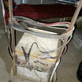 заряд берян