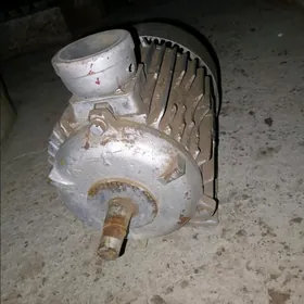 електа матор