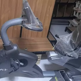 sport enjamlary begawoy ganten