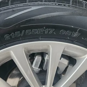 europeyka diska pakrishka