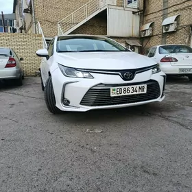Toyota Corolla 2020