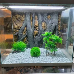 Аквариум с задним 3D фоном