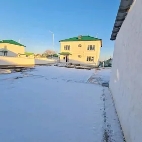 Coganly Arkaç Katež