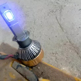 пионер лампочка