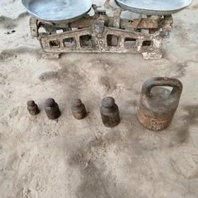 terezi                   весы